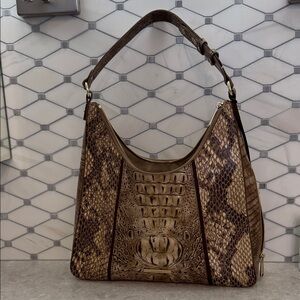 Brahmin Tabitha